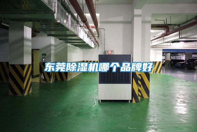 東莞小黄片软件免费下载哪個品牌好