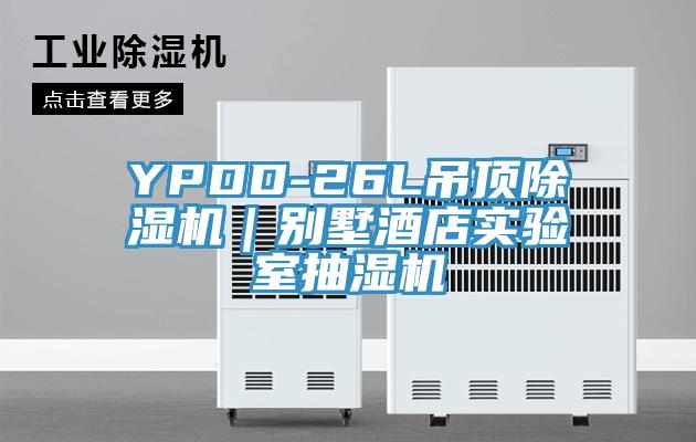YPDD-26L吊頂小黄片软件免费下载｜別墅酒店實驗室抽濕機