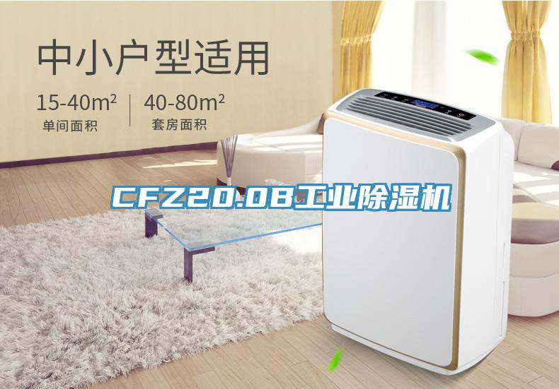 CFZ20.0B工業小黄片软件免费下载