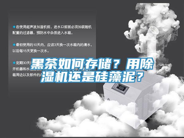 黑茶如何存儲？用小黄片软件免费下载還是矽藻泥？