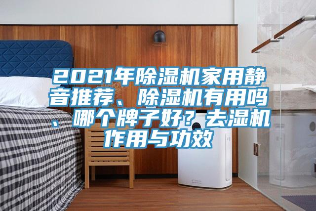 2021年小黄片软件免费下载家用靜音推薦、小黄片软件免费下载有用嗎、哪個牌子好？去濕機作用與功效