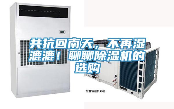 共抗回南天，不再濕漉漉！聊聊小黄片软件免费下载的選購