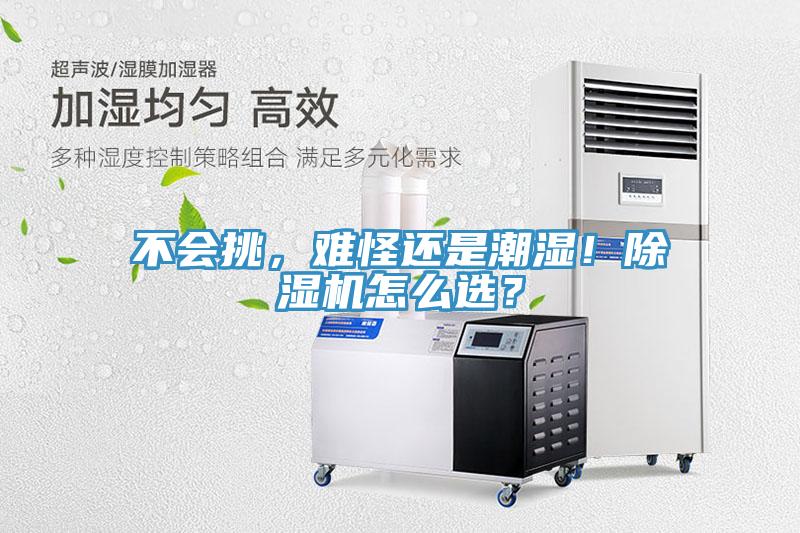不會挑，難怪還是潮濕！小黄片软件免费下载怎麽選？