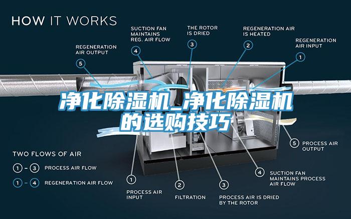 淨化小黄片软件免费下载_淨化小黄片软件免费下载的選購技巧