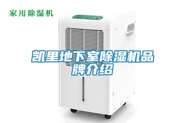 凱裏地下室小黄片软件免费下载品牌介紹