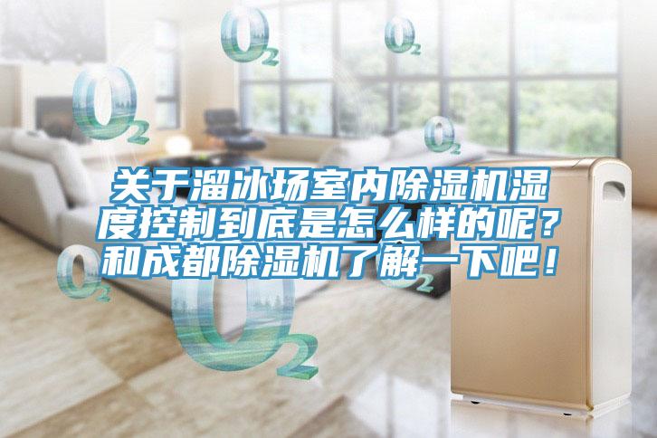 關於溜冰場室內小黄片软件免费下载濕度控製到底是怎麽樣的呢？和成都小黄片软件免费下载了解一下吧！