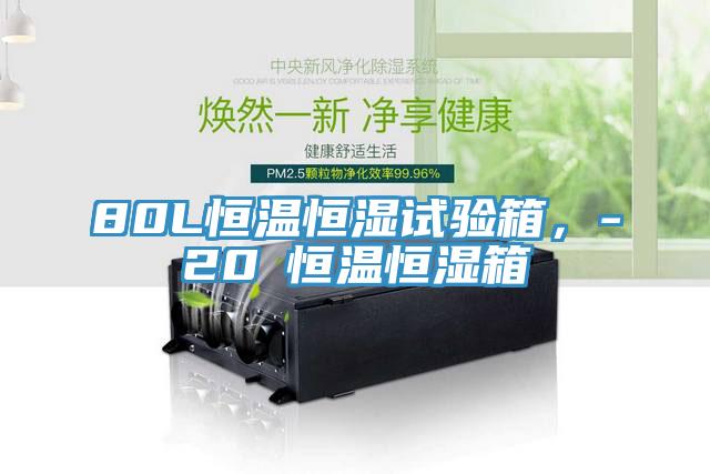 80L恒溫恒濕試驗箱，-20℃恒溫恒濕箱