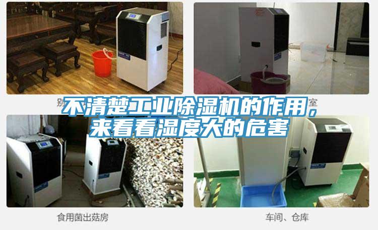 不清楚工業小黄片软件免费下载的作用，來看看濕度大的危害