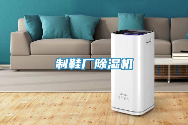 製鞋廠小黄片软件免费下载