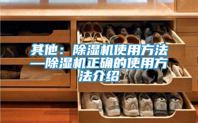其他：小黄片软件免费下载使用方法—小黄片软件免费下载正確的使用方法介紹