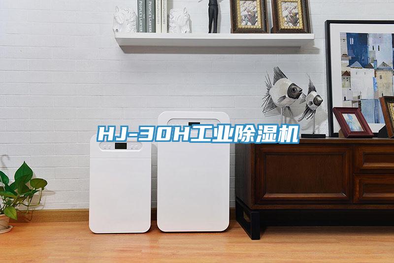 HJ-30H工業小黄片软件免费下载