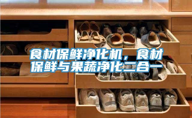 食材保鮮淨化機，食材保鮮與果蔬淨化二合一