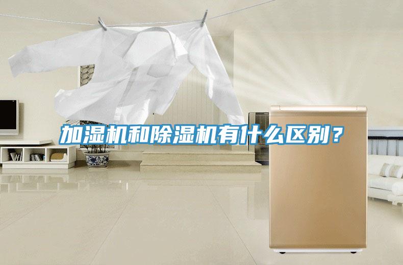 加濕機和小黄片软件免费下载有什麽區別？