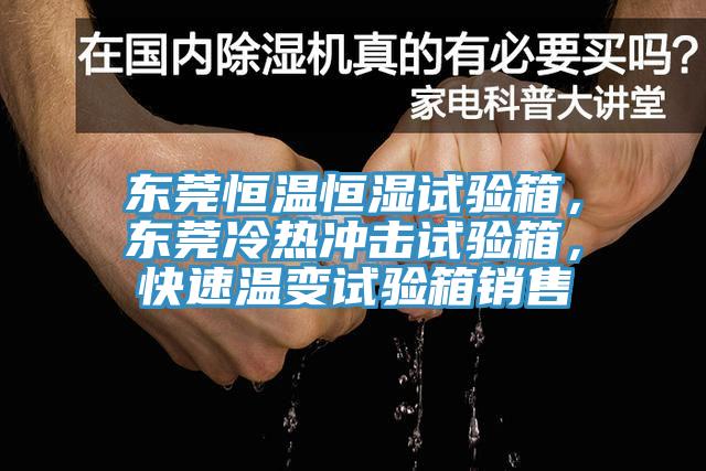 東莞恒溫恒濕試驗箱，東莞冷熱衝擊試驗箱，快速溫變試驗箱銷售