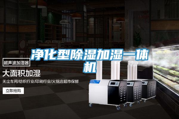 淨化型除濕加濕一體機