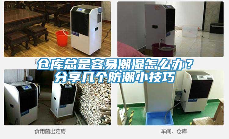 倉庫總是容易潮濕怎麽辦？分享幾個防潮小技巧