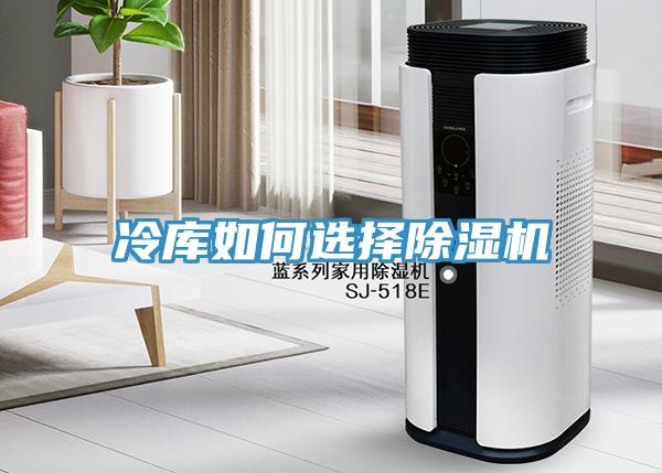 冷庫如何選擇小黄片软件免费下载