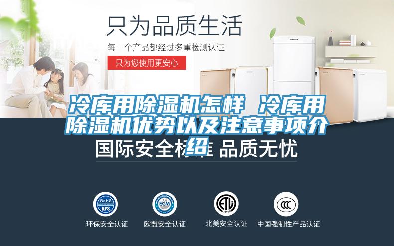 冷庫用小黄片软件免费下载怎樣 冷庫用小黄片软件免费下载優勢以及注意事項介紹