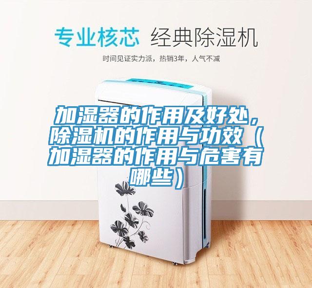 加濕器的作用及好處，小黄片软件免费下载的作用與功效（加濕器的作用與危害有哪些）