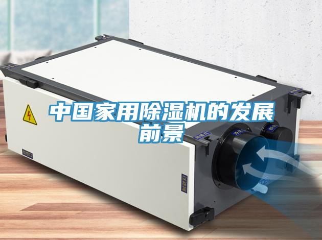 中國家用小黄片软件免费下载的發展前景