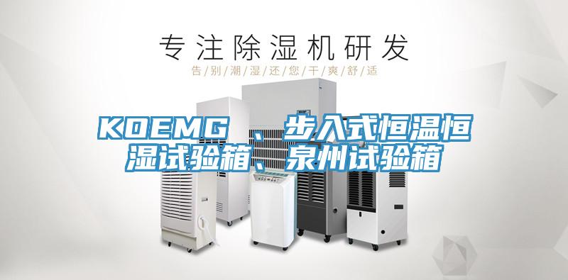 KOEMG 、步入式恒溫恒濕試驗箱、泉州試驗箱