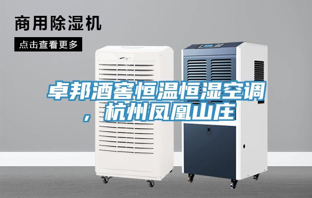 卓邦酒窖恒溫恒濕空調，杭州鳳凰山莊