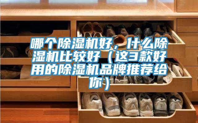 哪個小黄片软件免费下载好，什麽小黄片软件免费下载比較好（這3款好用的小黄片软件免费下载品牌推薦給你）
