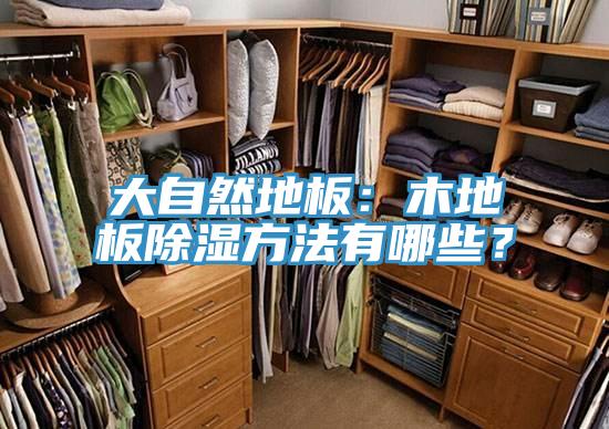 大自然地板：木地板除濕方法有哪些？