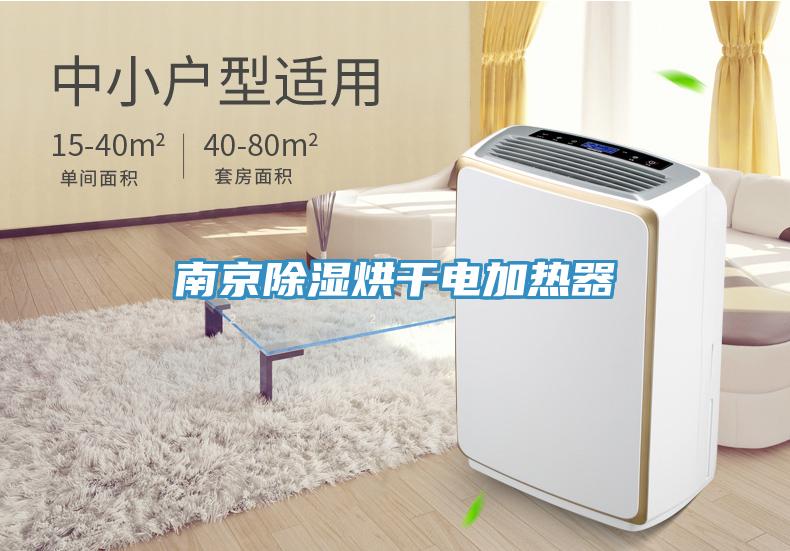 南京除濕烘幹電加熱器