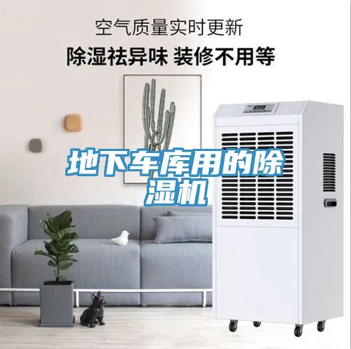 地下車庫用的小黄片软件免费下载