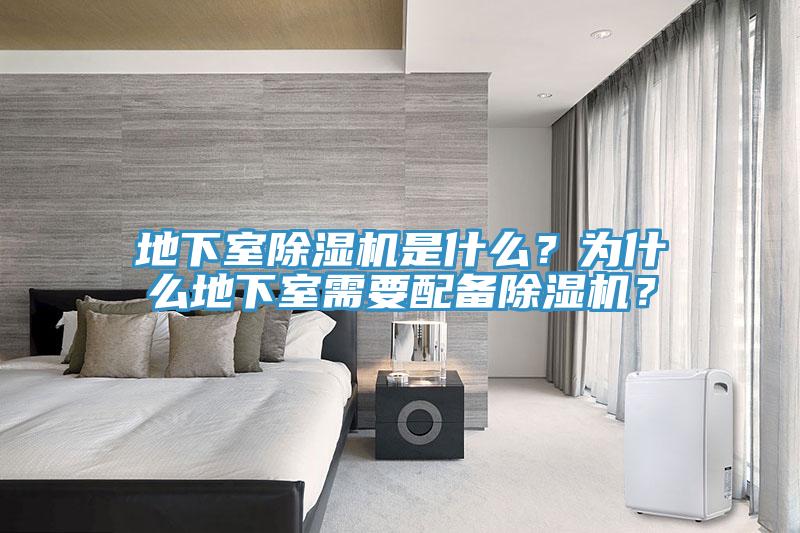 地下室小黄片软件免费下载是什麽？為什麽地下室需要配備小黄片软件免费下载？