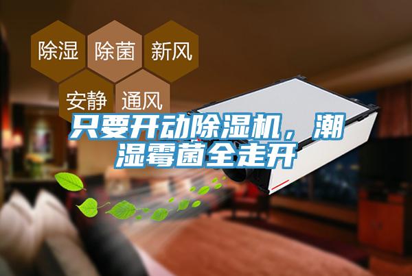 隻要開動小黄片软件免费下载，潮濕黴菌全走開