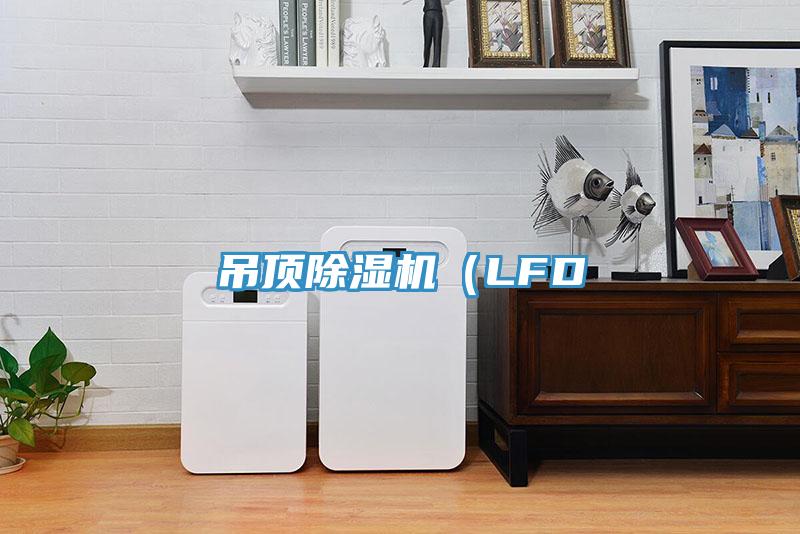 吊頂小黄片软件免费下载（LFD