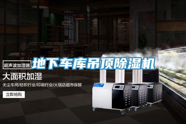 地下車庫吊頂小黄片软件免费下载
