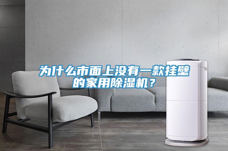 為什麽市麵上沒有一款掛壁的家用小黄片软件免费下载？