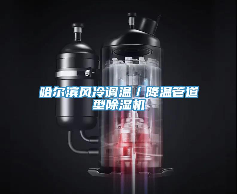哈爾濱風冷調溫／降溫管道型小黄片软件免费下载