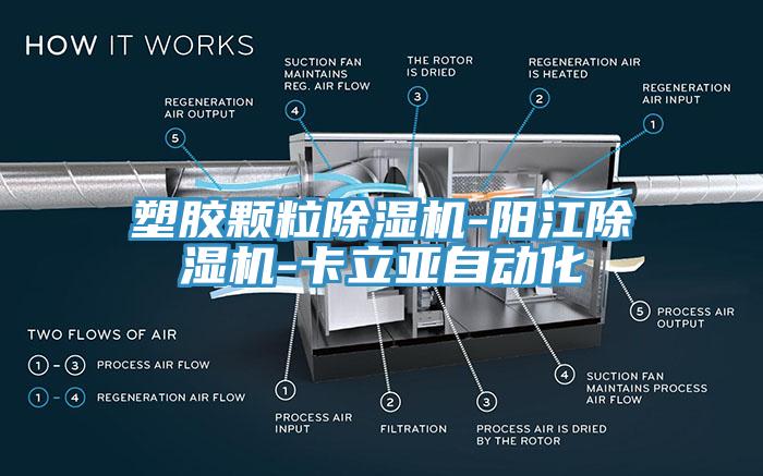 塑膠顆粒小黄片软件免费下载-陽江小黄片软件免费下载-卡立亞自動化
