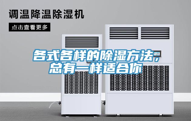 各式各樣的除濕方法，總有一樣適合你