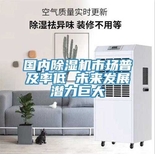 國內小黄片软件免费下载市場普及率低 未來發展潛力巨大