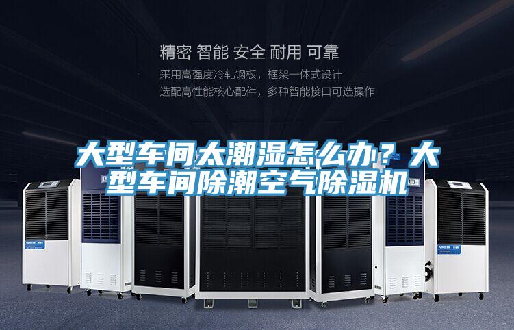大型車間太潮濕怎麽辦？大型車間除潮空氣小黄片软件免费下载