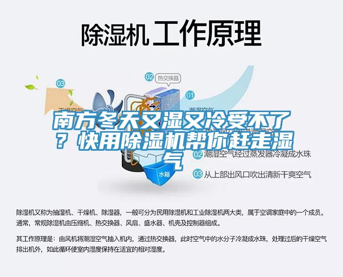 南方冬天又濕又冷受不了？快用小黄片软件免费下载幫你趕走濕氣