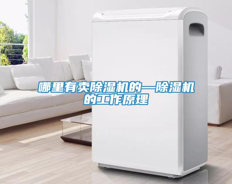 哪裏有賣小黄片软件免费下载的—小黄片软件免费下载的工作原理