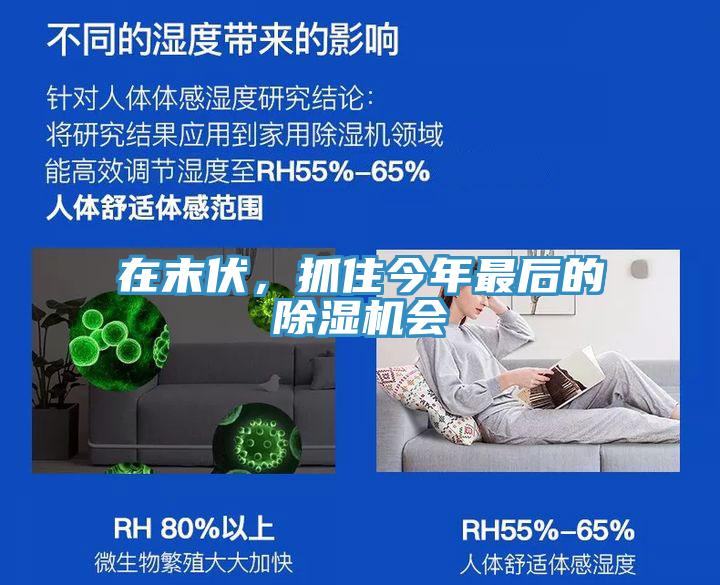 在末伏，抓住今年最後的小黄片软件免费下载會