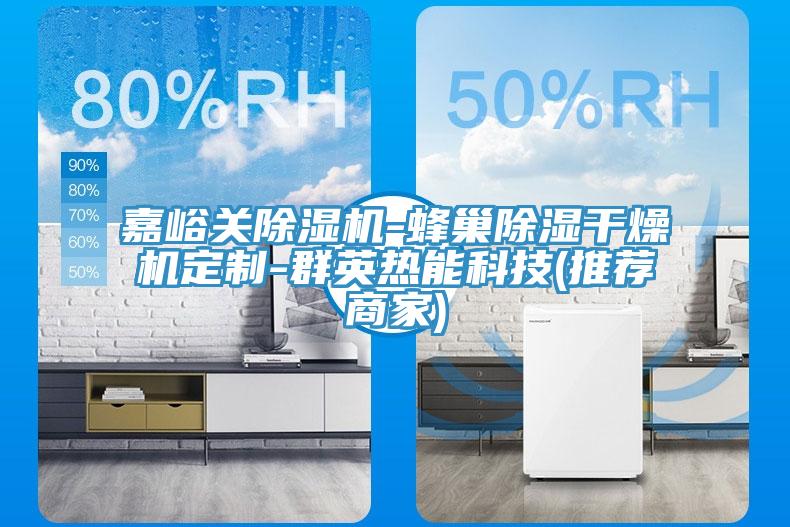 嘉峪關小黄片软件免费下载-蜂巢除濕幹燥機定製-群英熱能科技(推薦商家)