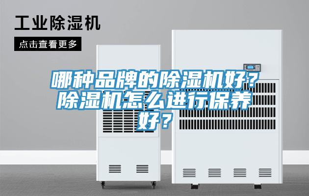 哪種品牌的小黄片软件免费下载好？小黄片软件免费下载怎麽進行保養好？
