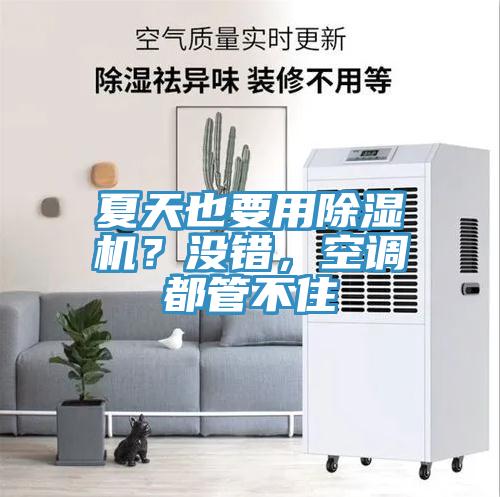 夏天也要用小黄片软件免费下载？沒錯，空調都管不住