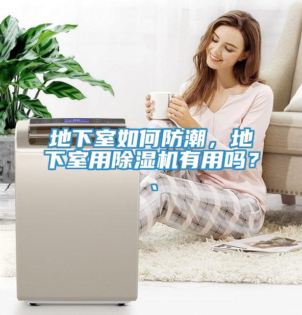 地下室如何防潮，地下室用小黄片软件免费下载有用嗎？、