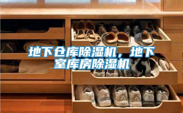 地下倉庫小黄片软件免费下载，地下室庫房小黄片软件免费下载