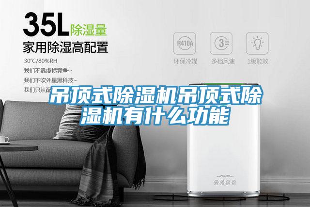 吊頂式小黄片软件免费下载吊頂式小黄片软件免费下载有什麽功能