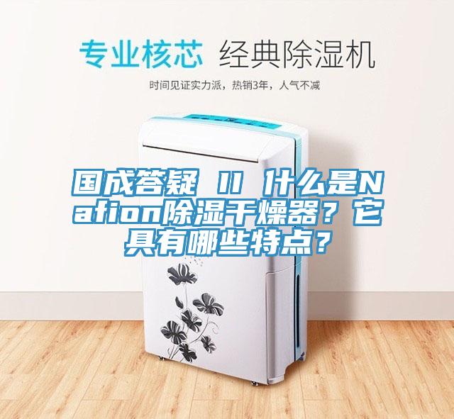 國成答疑 II 什麽是Nafion除濕幹燥器？它具有哪些特點？